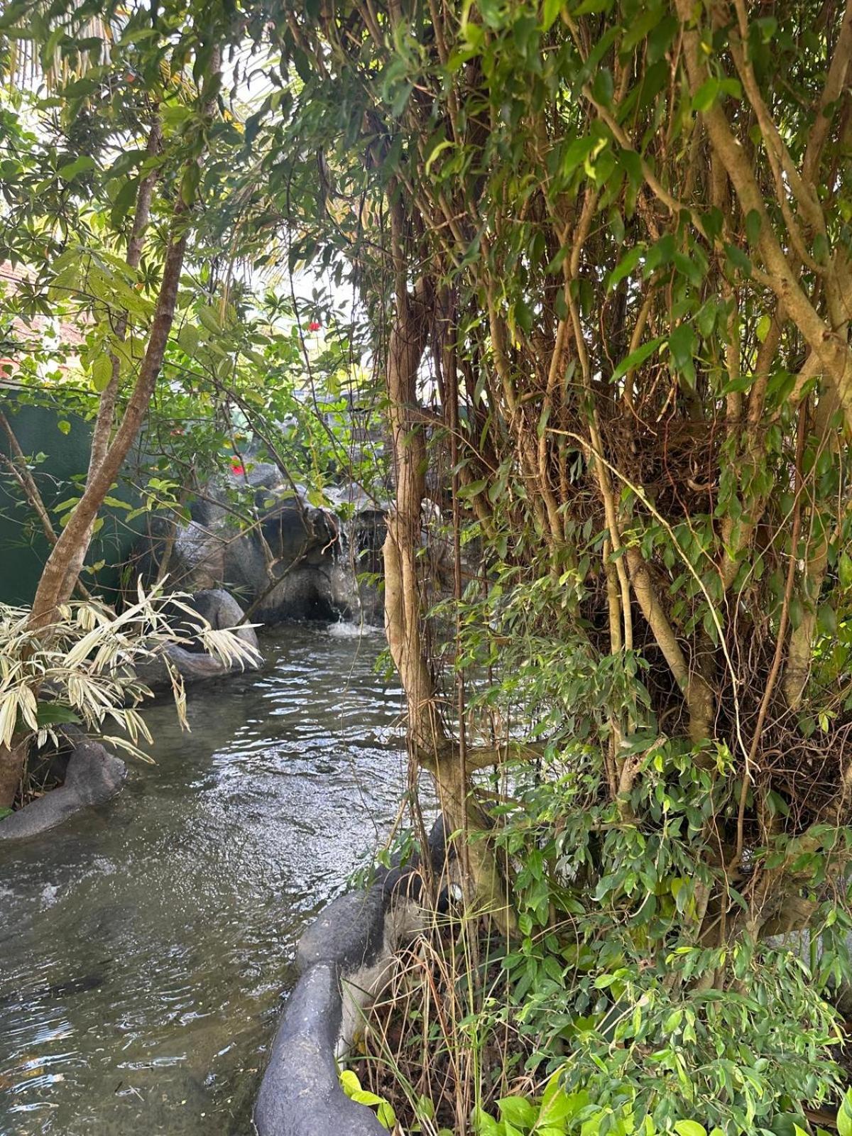 Hotel Aliya Lanka Beruwala Zewnętrze zdjęcie