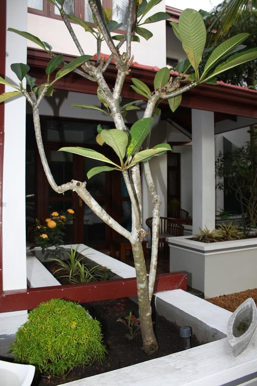 Hotel Aliya Lanka Beruwala Zewnętrze zdjęcie